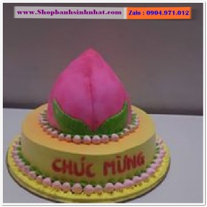 Bánh Sinh Nhật Mừng Thọ - OR54